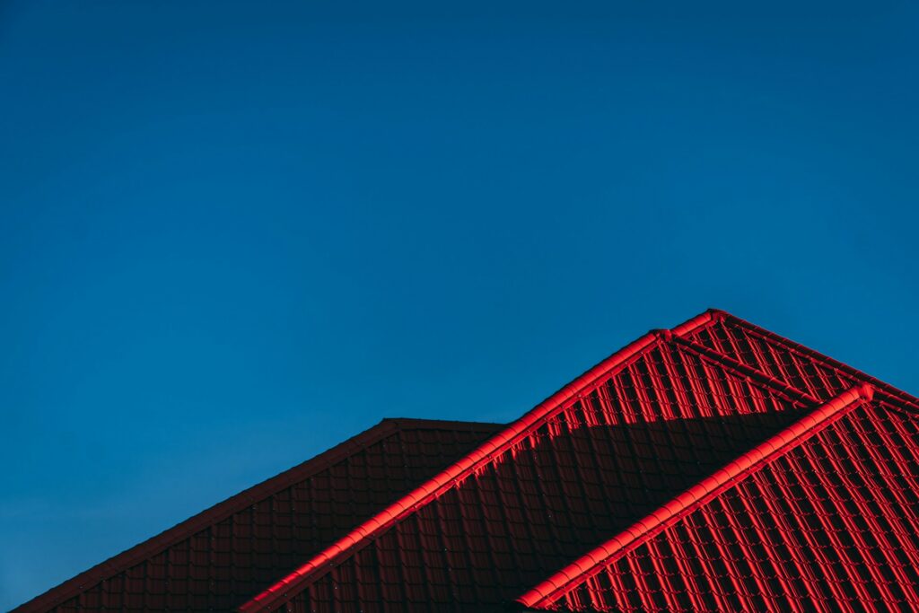 robin kutesa wmhhsI7GUQ8 unsplash